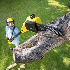 Best Lawn Edging  in Ontario, CA