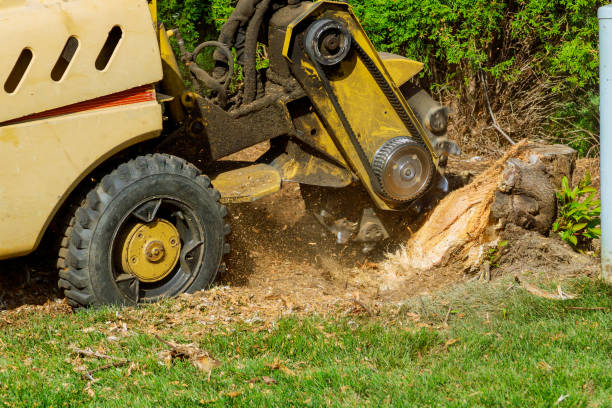 Best Lawn Maintenance Plans  in Ontario, CA
