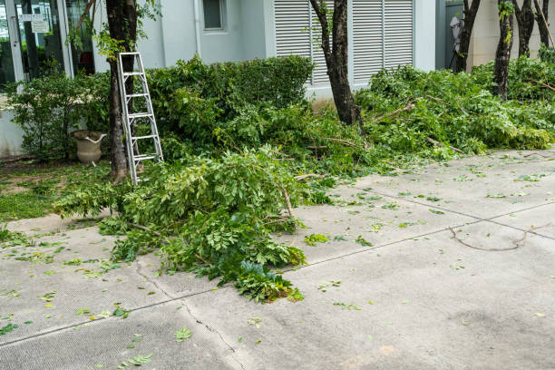  Ontario, CA Tree Services Pros